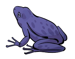 Фиолетовая лягушка
